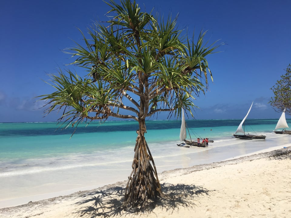 Strand Neptune Pwani Beach Resort & Spa
