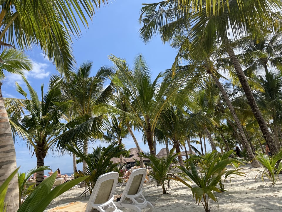 Strand Hotel Riu Jambo