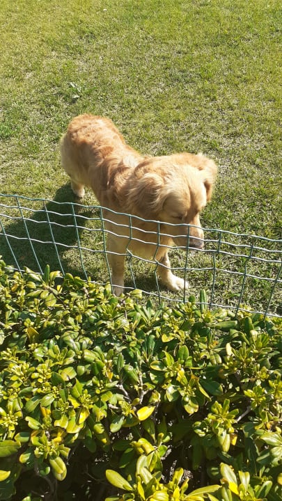 Gartenanlage Fattoria Maremmana
