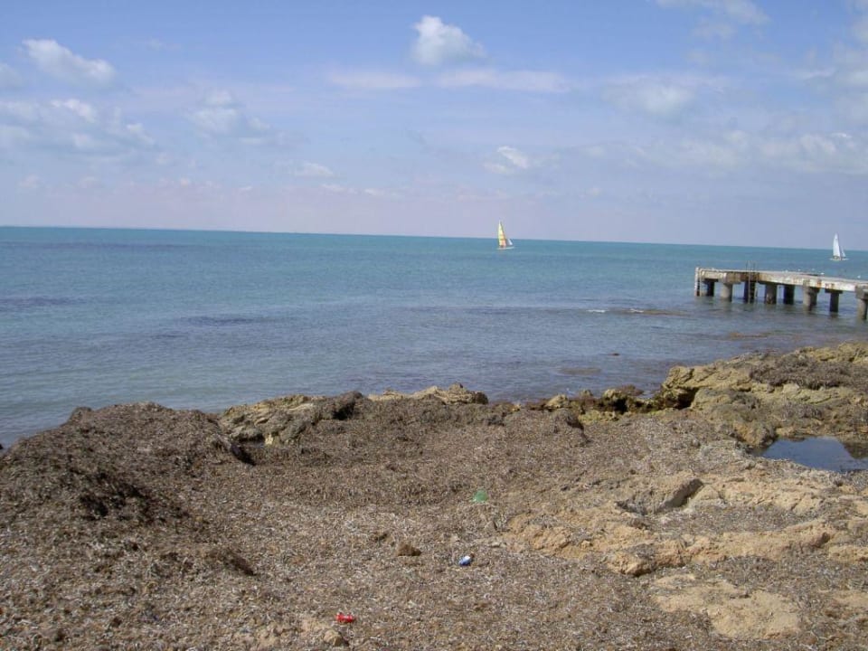 Der wunderschöne (Algen)-Strand Hotel El Mouradi Djerba Menzel