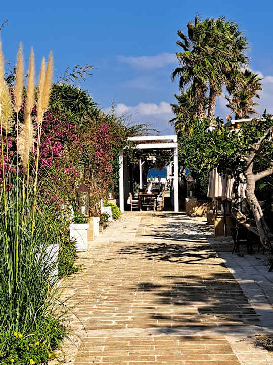 Gartenanlage Canne Bianche Lifestyle Hotel