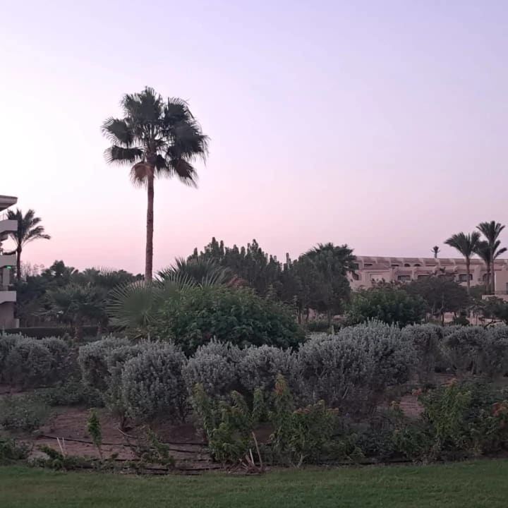 Ausblick Cleopatra Luxury Resort Makadi Bay