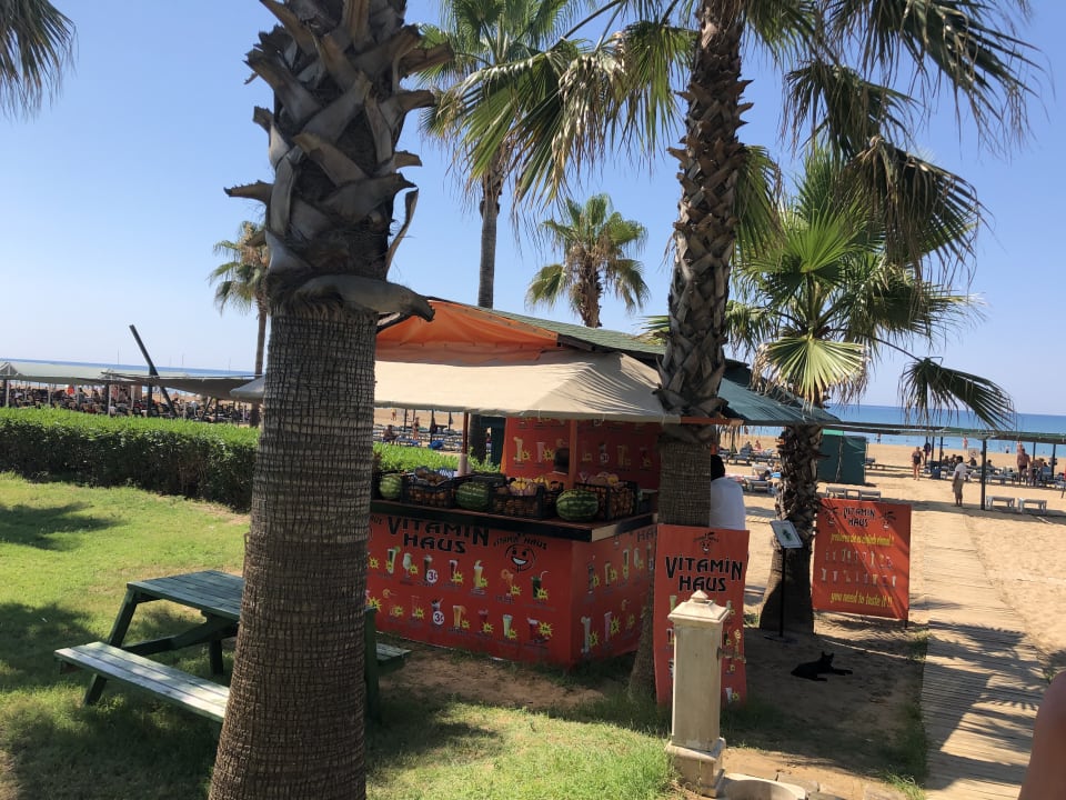 Gastro Royal Atlantis Beach Hotel