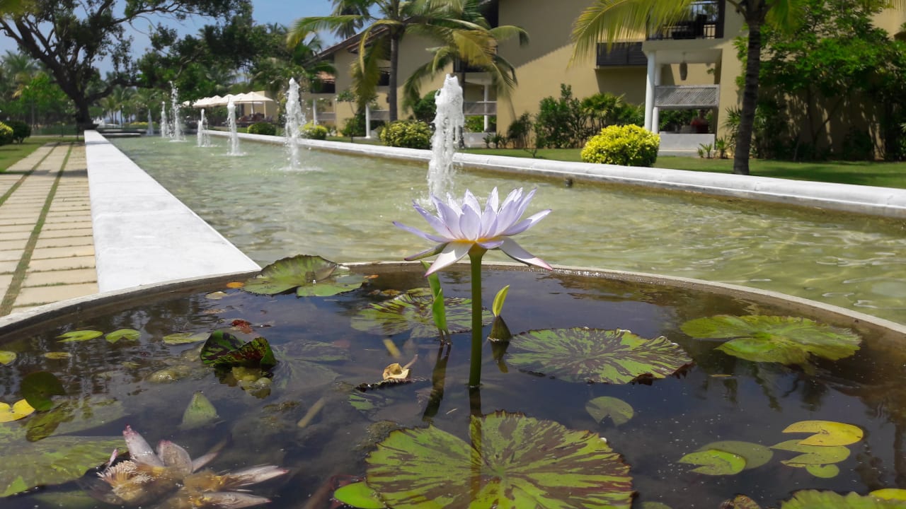 Gartenanlage The Villas Wadduwa