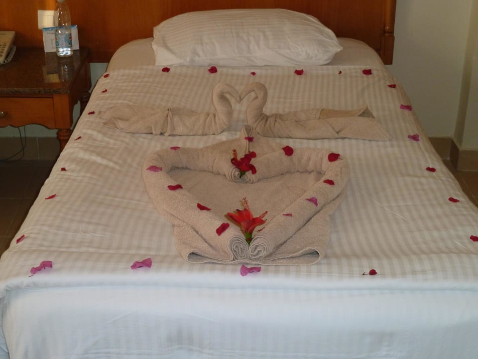 Friendly welcome Pickalbatros Dana Beach Resort - Hurghada