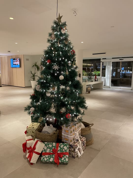 Lobby Sol Fuerteventura Jandia - All Suites