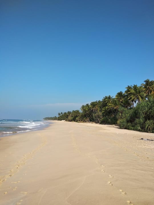 Strand Hotel Haus am Meer Wilde Ananas