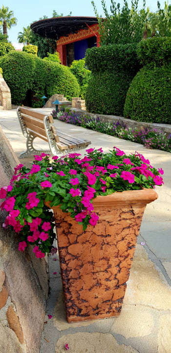 Gartenanlage Arum Barut Collection