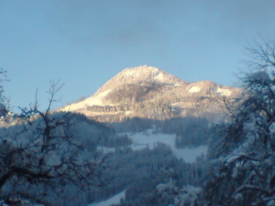 Ausblick vom Balkon Nr. 1 Gasthof Schwendterwirt