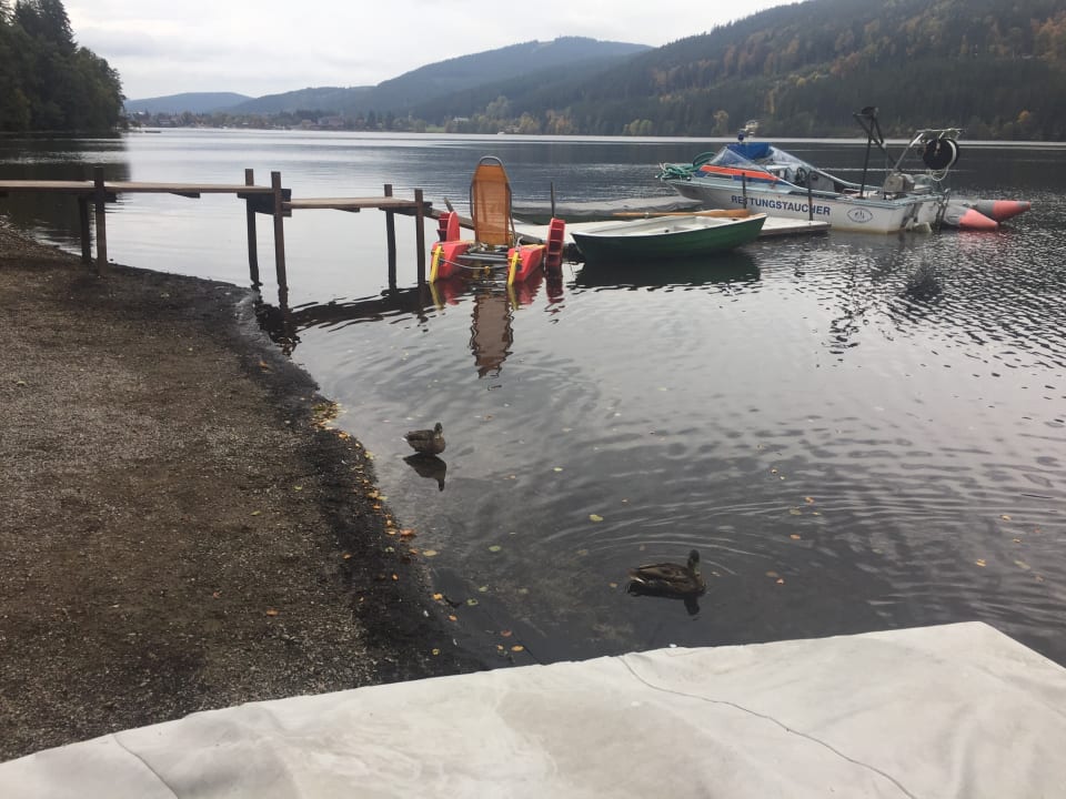 See Naturcamping Weiherhof