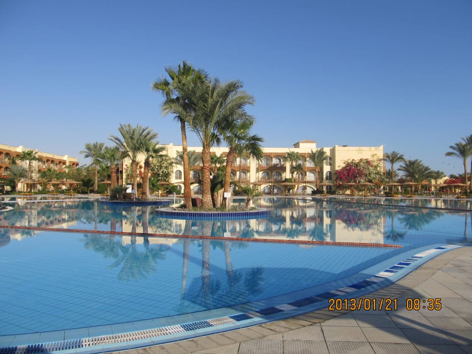 Pool #1 at day Desert Rose