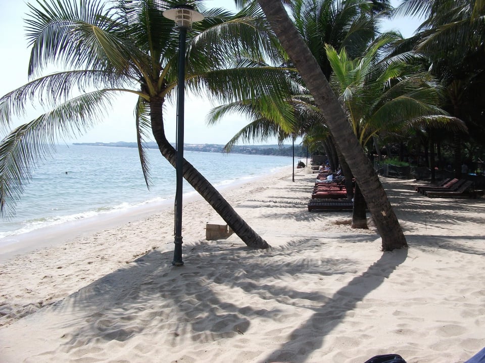 Palmenstrand Hoang Ngoc Beach Resort