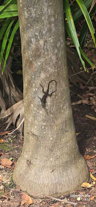Sonstiges Iberostar Waves Paraiso del Mar