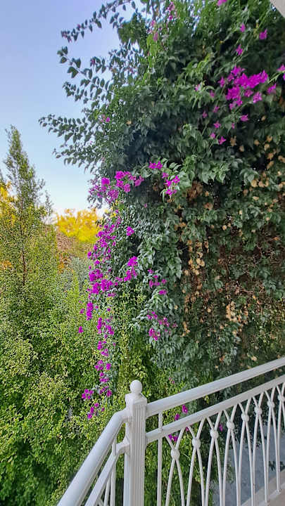 Zimmer Ali Bey Resort Sorgun