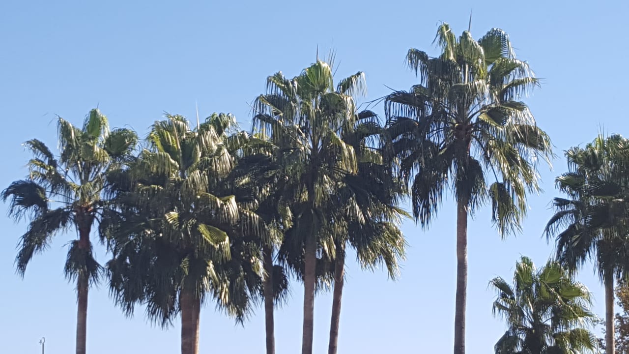 Ausblick Fame Residence Kemer & Spa