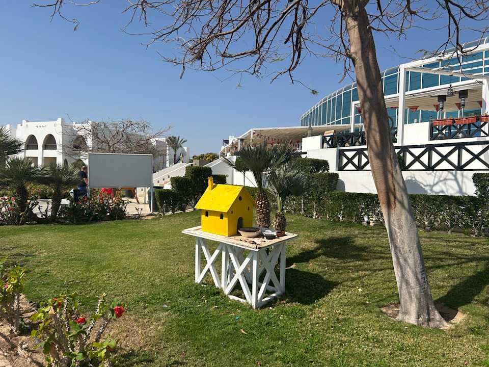 Gartenanlage Hilton Marsa Alam Nubian Resort