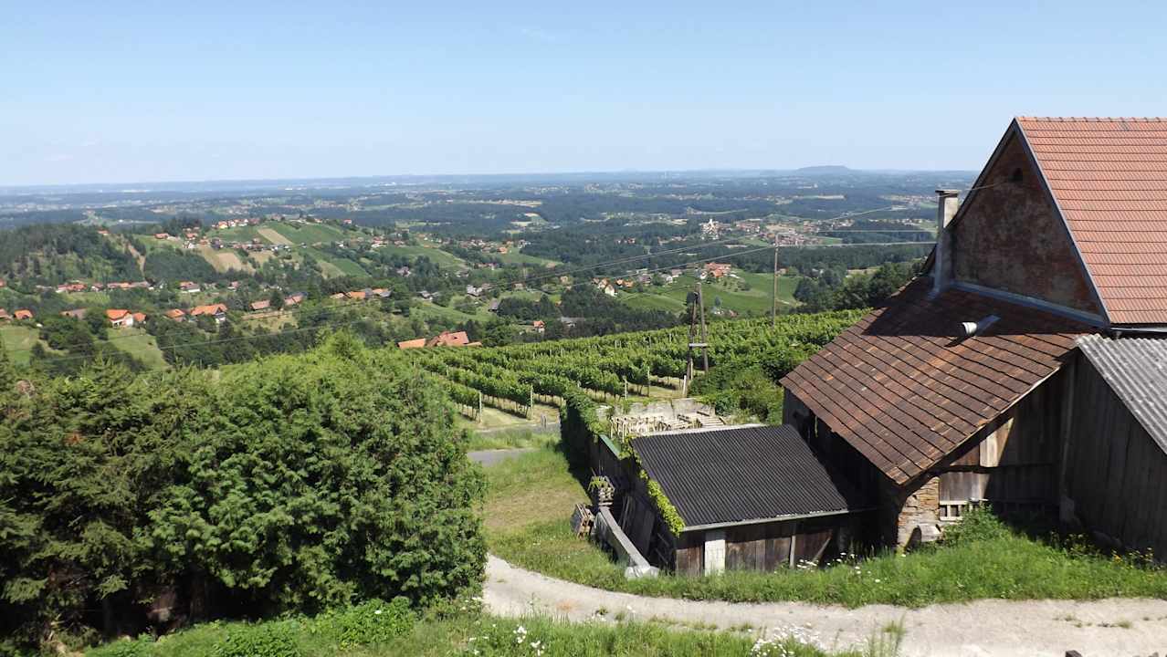 Vom Weinhersteller Langmann Aussicht Gasthof Reinbacher