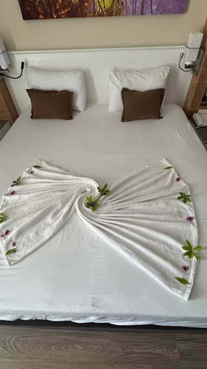 Zimmer Crystal Sunset Pearl Collection