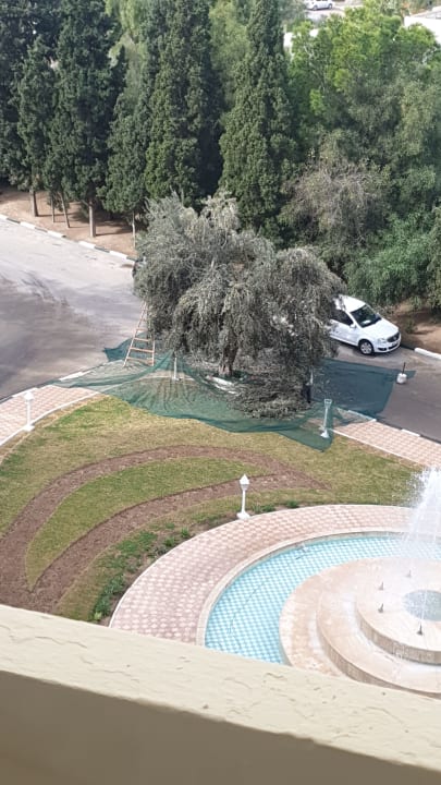 Ausblick Marhaba Royal Salem