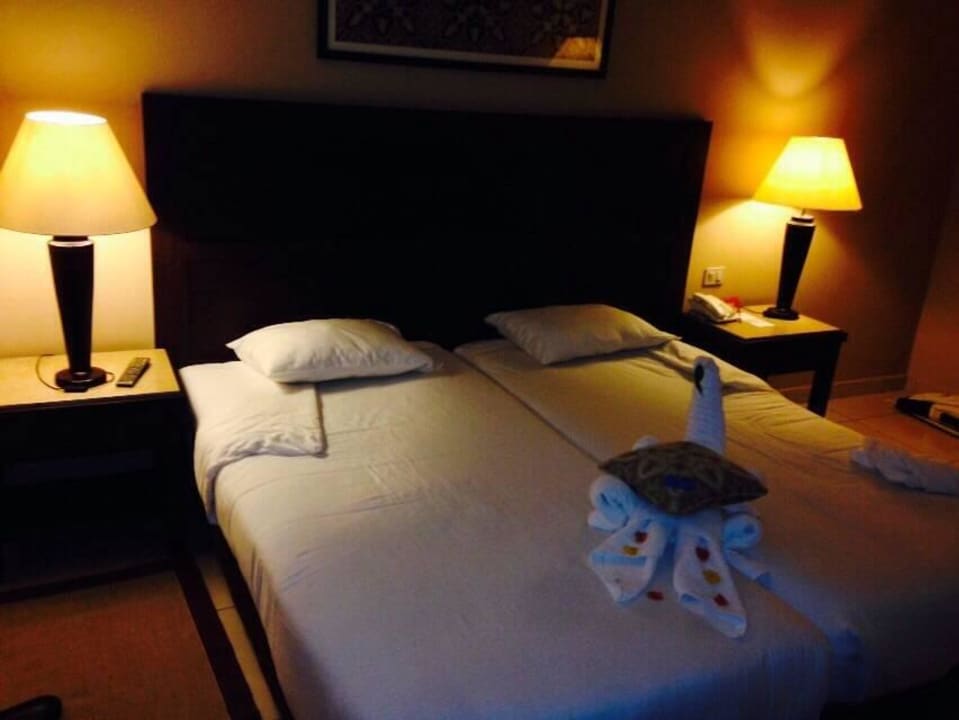 Zimmer Jaz Dar EL Madina