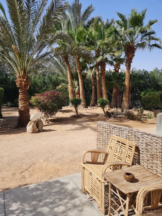 Gartenanlage Cook's Club El Gouna