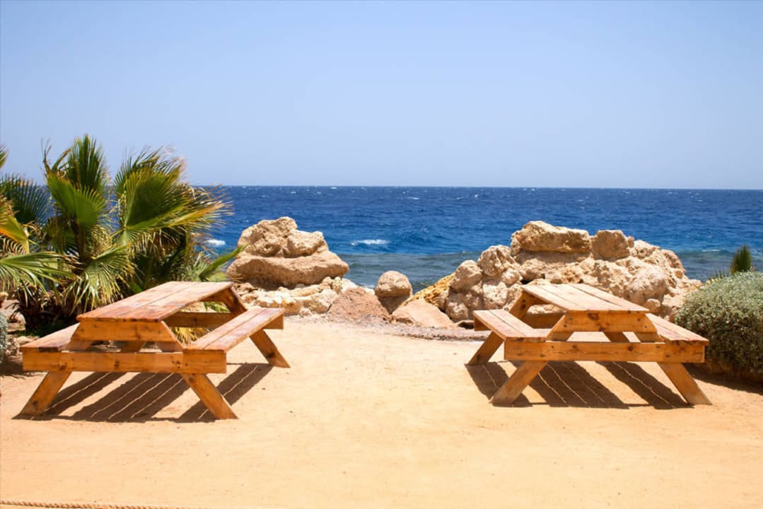 Strand  Pickalbatros Citadel Resort