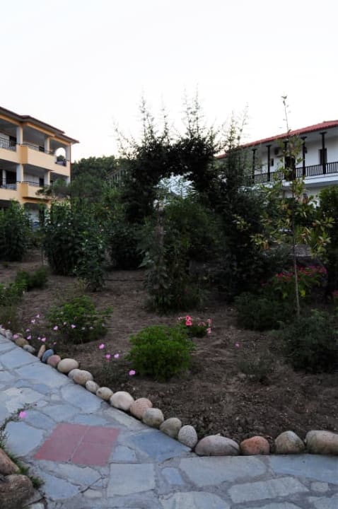 Rośliny Hotel Chrousso Village