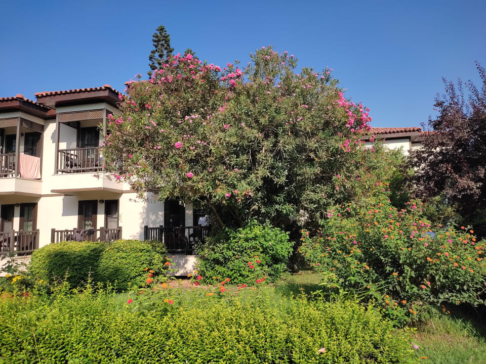 Gartenanlage Hotel Club Nena