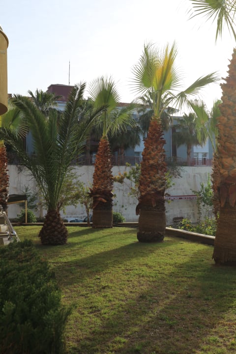 Ausblick Hotel Side Star Park