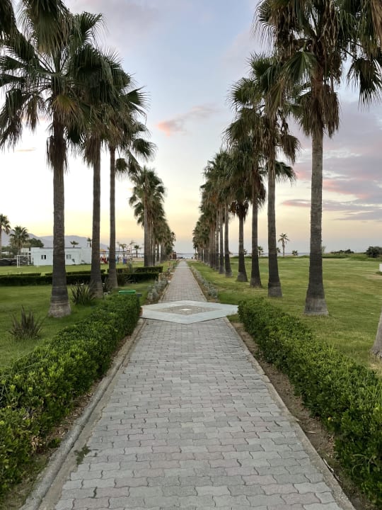 Gartenanlage Delfina Tropic Beach