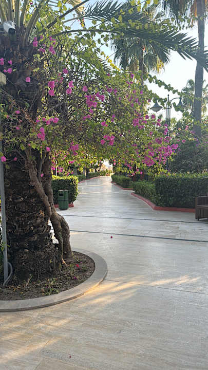 Gartenanlage Saphir Resort & Spa