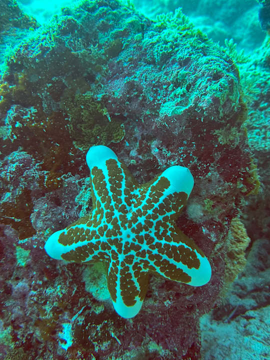 Sport & Freizeit Ocean Paradise Resort & Spa