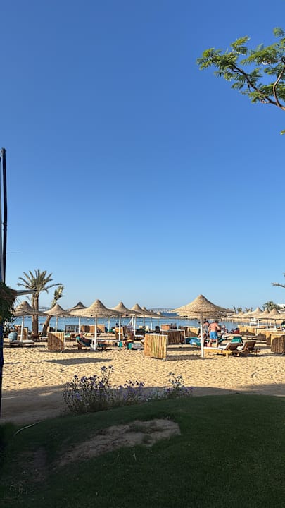 Gartenanlage Desert Rose