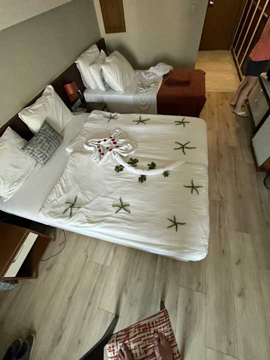 Zimmer Sherwood Dreams Resort