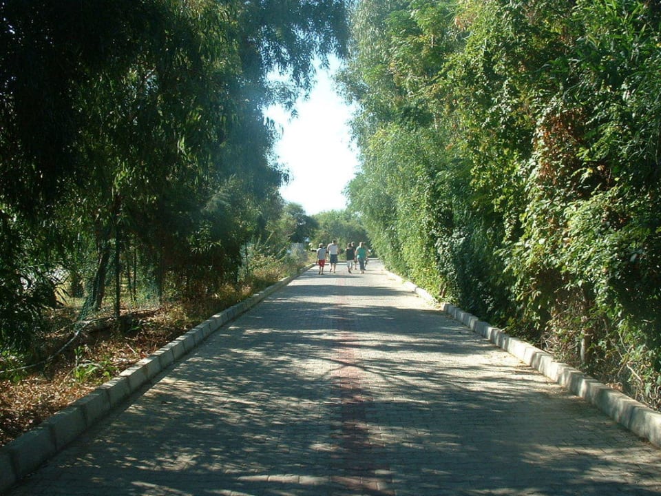 Der Weg zum Strand Hotel Orfeus Park
