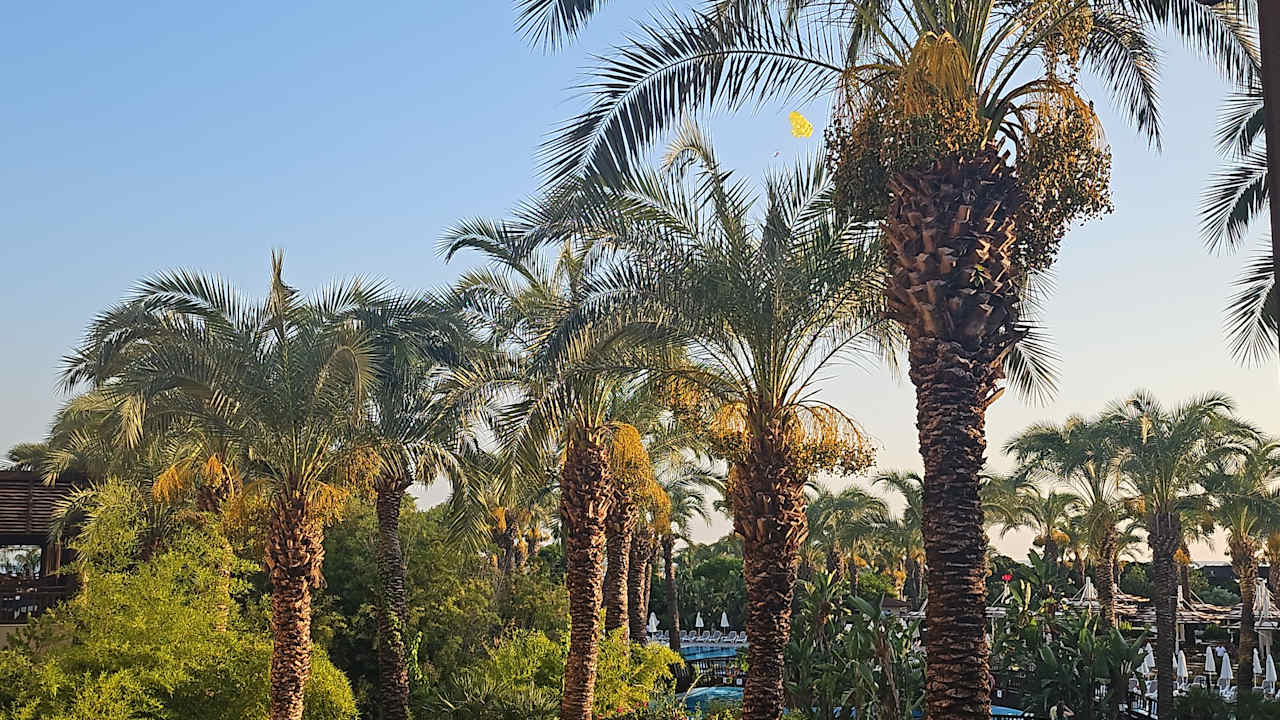 Außenansicht Sunis Kumköy Beach Resort Hotel & Spa