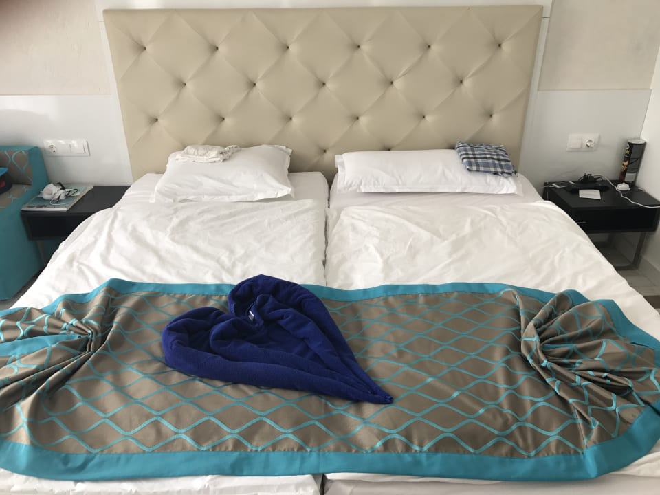 Zimmer Sentido Marea