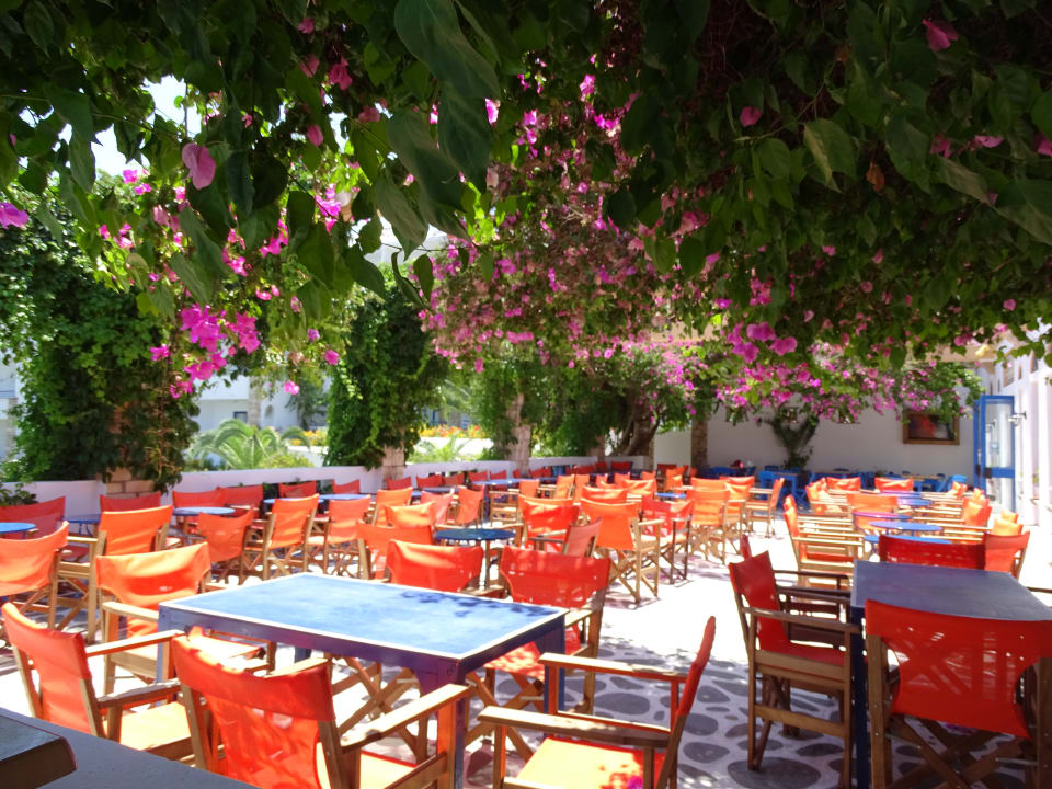 Gastro Ekaterini Hotel