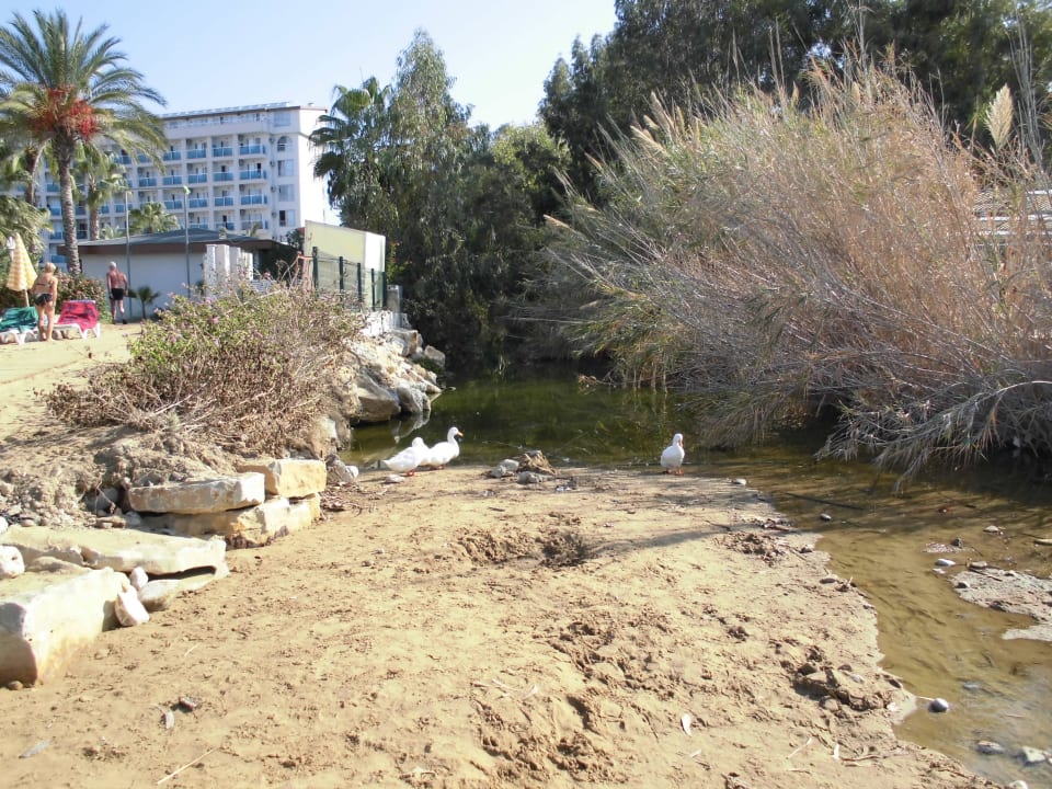 Bach neben dem Hotel Top Hotel