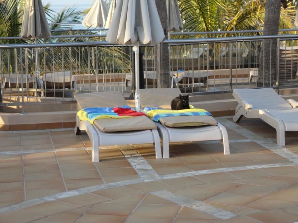 Liegen SBH Hotel Taro Beach