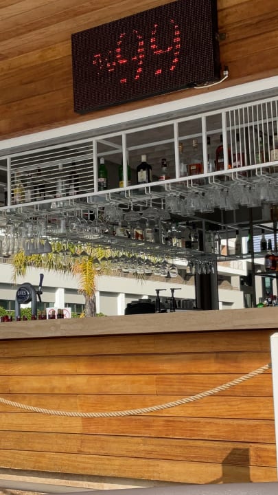 Gastro Acanthus Cennet Barut Collection