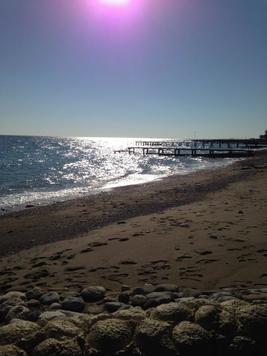 Strand Balmy Foresta