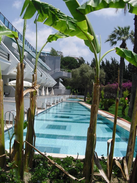 Die neuen Swim up Zimmer Side Star Elegance