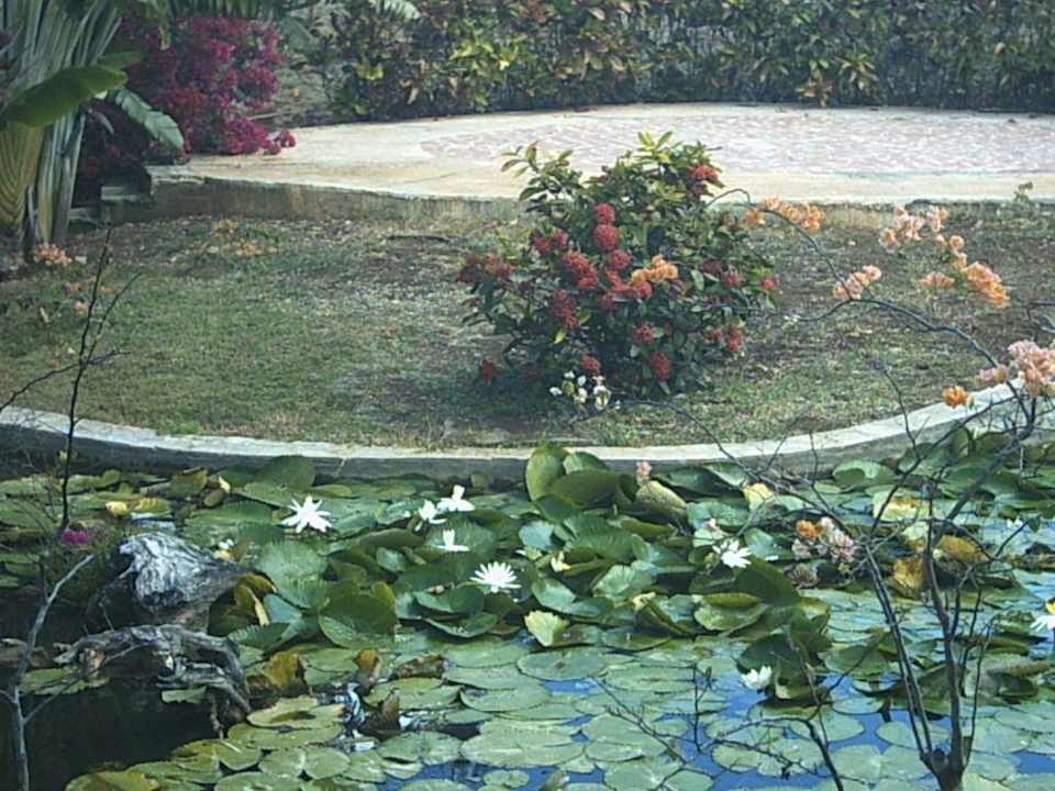 Gartenanlage Hotel Brisas del Caribe