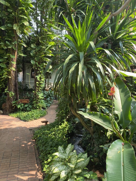 Gartenanlage Anavana Beach Resort