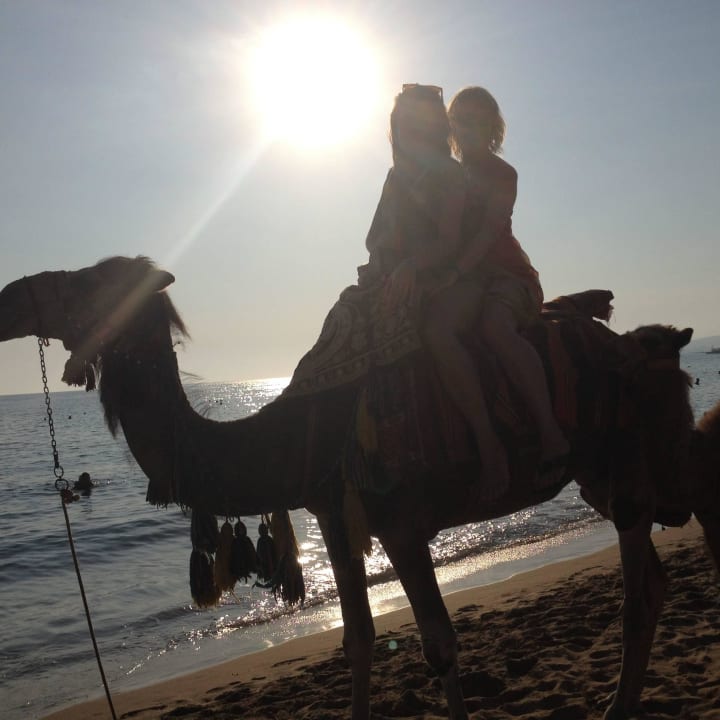 Развлечения на пляже Aska Hotel Just in Beach