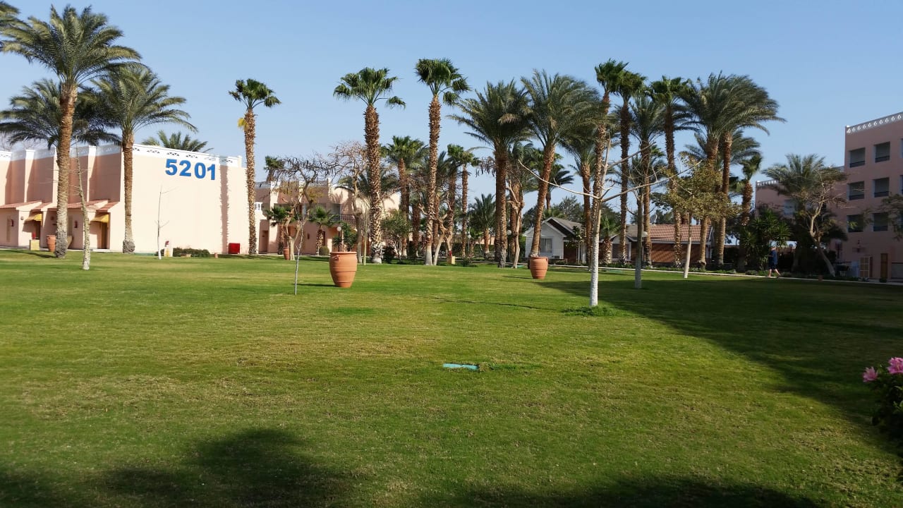 Bungalow Beach Albatros Resort