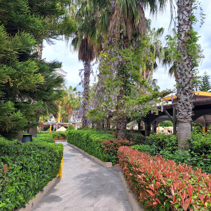 Gartenanlage Hane Family Resort