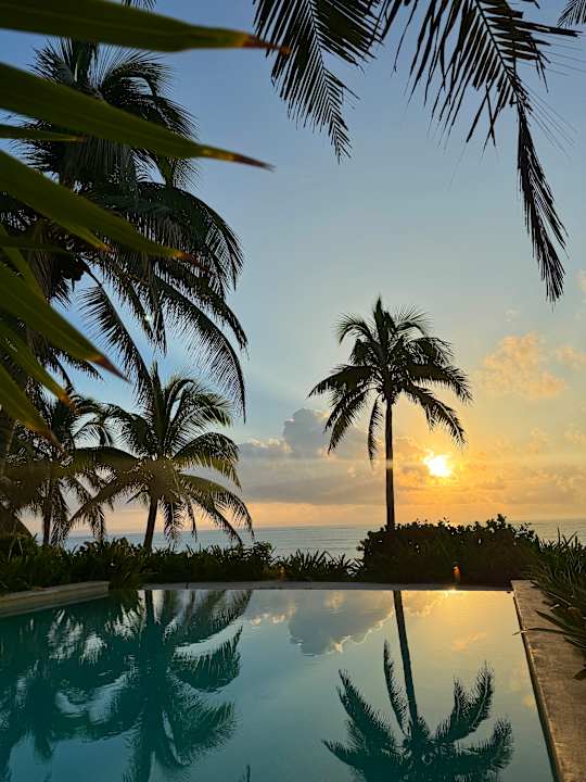 Gartenanlage Akumal Bay Beach & Wellness Resort