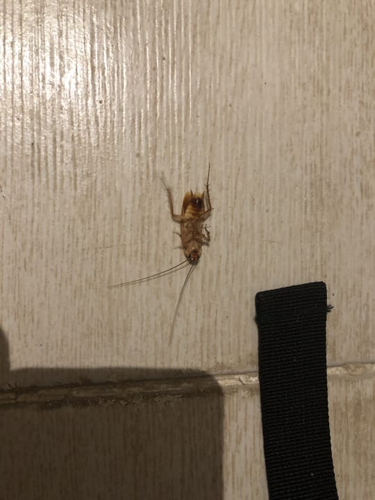 Sonstiges El Karma Aqua Beach Resort